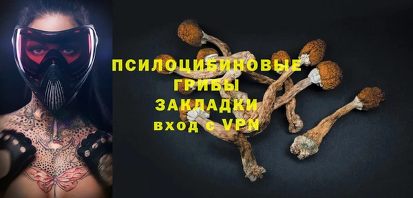ГАЛЛЮЦИНОГЕННЫЕ ГРИБЫ Алексеевка