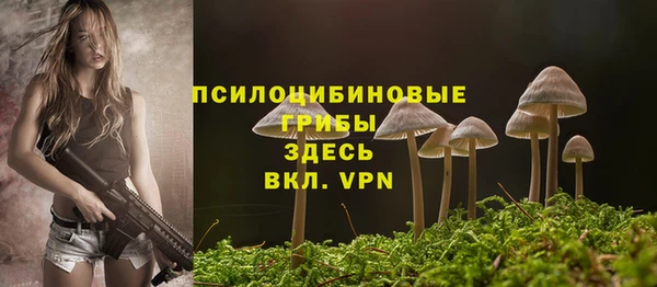 ГАЛЛЮЦИНОГЕННЫЕ ГРИБЫ Алексеевка