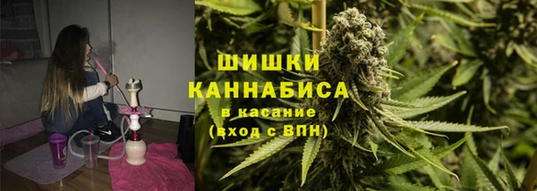 ГАЛЛЮЦИНОГЕННЫЕ ГРИБЫ Алексеевка
