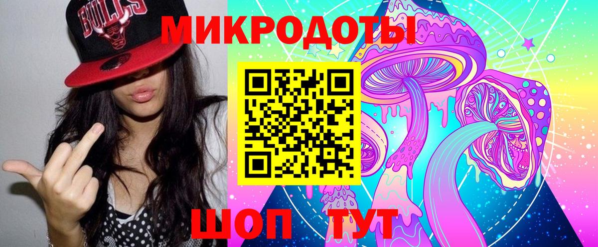 Галлюциногенные грибы Psilocybe Асино
