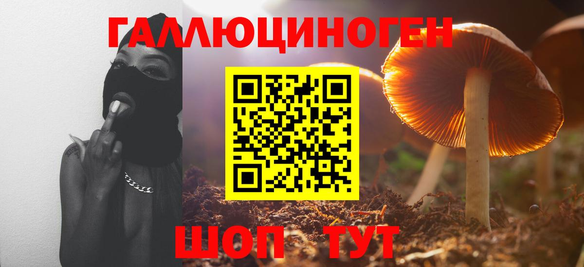 Асино  Псилоцибиновые грибы мицелий  наркота  Вход с VPN 